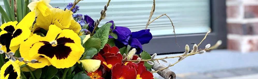 blumen2_klein