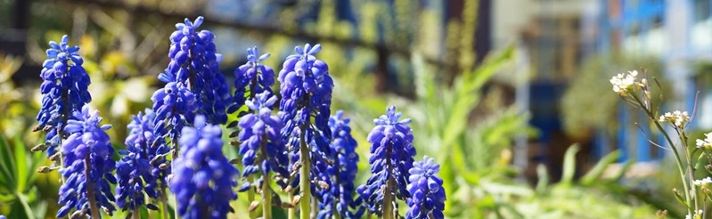 a_DSC09234