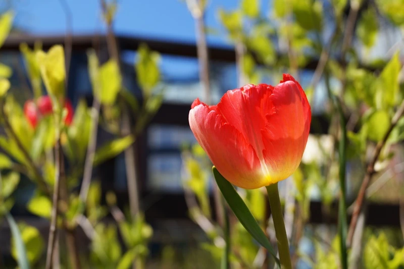 a_DSC09214