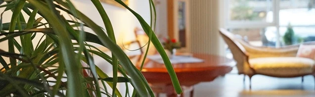 a_DSC08653